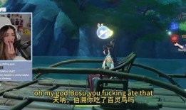 枫丹角色爆料视频大全集,揭秘角色背后的故事与魅力